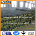 5 foot fence 50mm galvanized chain link fence suppliers (2.8mm wire diameter )